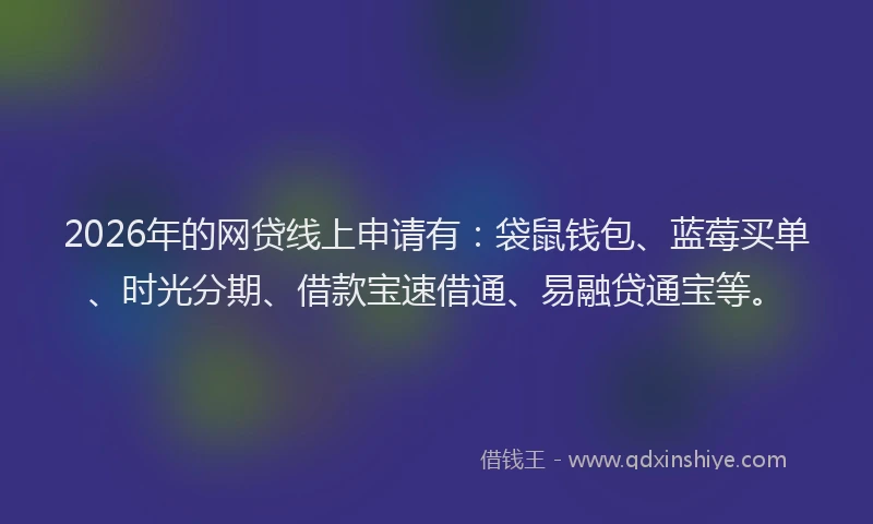 2026年的网贷线上申请有：袋鼠钱包、蓝莓买单、时光分期、借款宝速借通、易融贷通宝等。