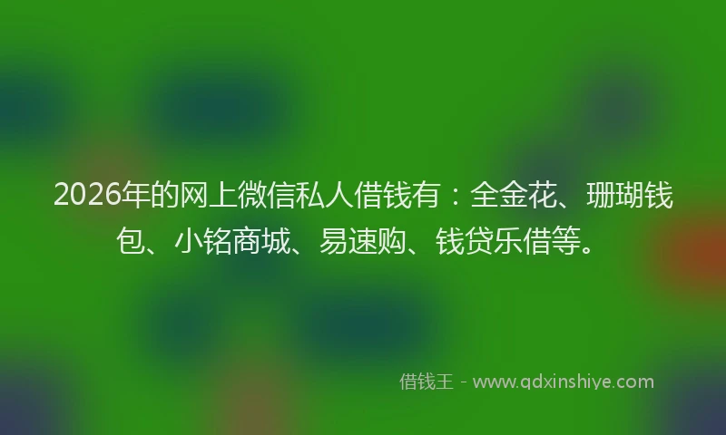 2026年的网上微信私人借钱有：全金花、珊瑚钱包、小铭商城、易速购、钱贷乐借等。
