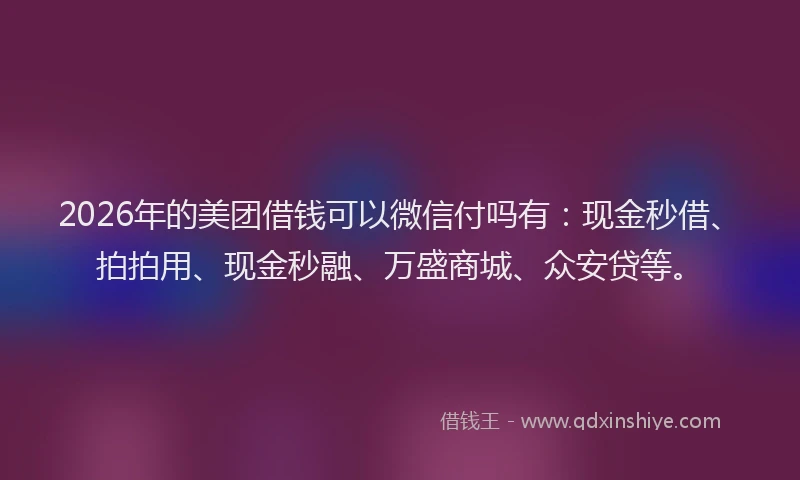 2026年的美团借钱可以微信付吗有：现金秒借、拍拍用、现金秒融、万盛商城、众安贷等。
