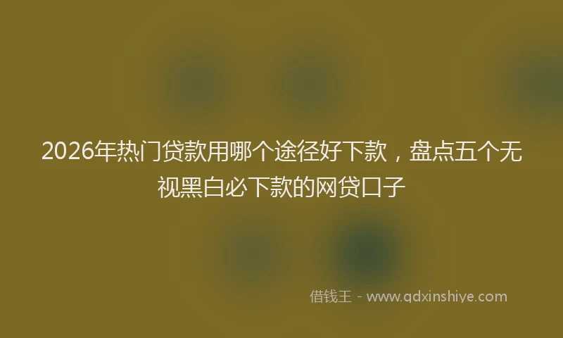2026年热门贷款用哪个途径好下款，盘点五个无视黑白必下款的网贷口子