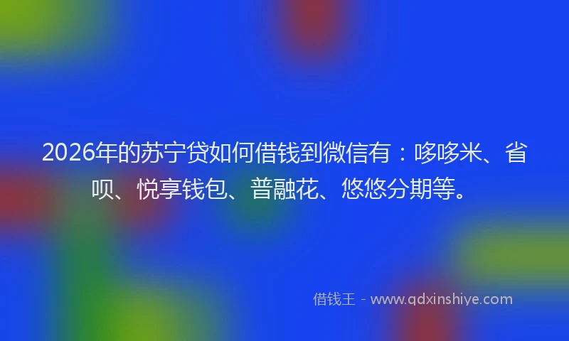 2026年的苏宁贷如何借钱到微信有：哆哆米、省呗、悦享钱包、普融花、悠悠分期等。