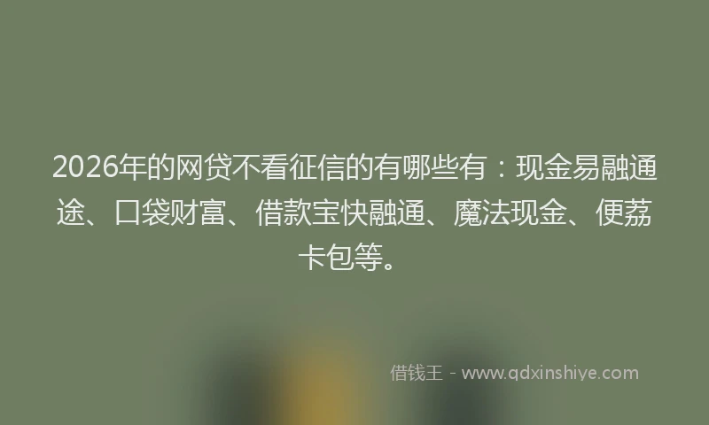 2026年的网贷不看征信的有哪些有：现金易融通途、口袋财富、借款宝快融通、魔法现金、便荔卡包等。