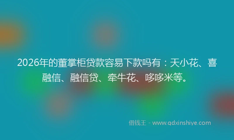 2026年的董掌柜贷款容易下款吗有：天小花、喜融信、融信贷、牵牛花、哆哆米等。