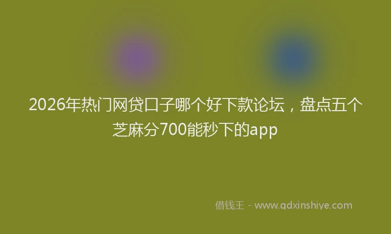 2026年热门网贷口子哪个好下款论坛，盘点五个芝麻分700能秒下的app