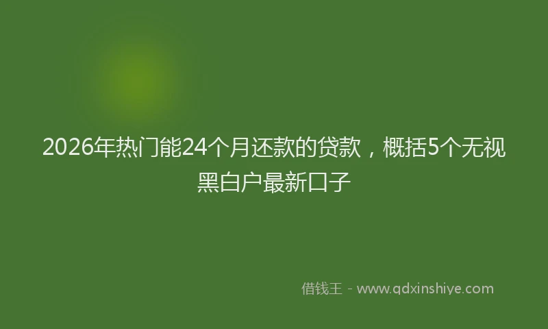 2026年热门能24个月还款的贷款，概括5个无视黑白户最新口子