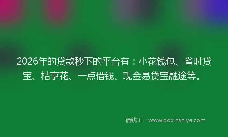 2026年的贷款秒下的平台有:小花钱包、省时贷宝、桔享花、一点借钱、现金易贷宝融途等。