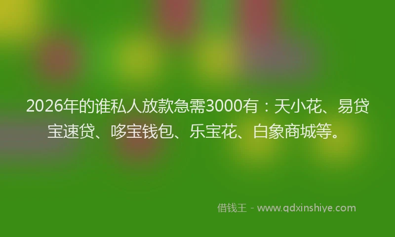 2026年的谁私人放款急需3000有：天小花、易贷宝速贷、哆宝钱包、乐宝花、白象商城等。