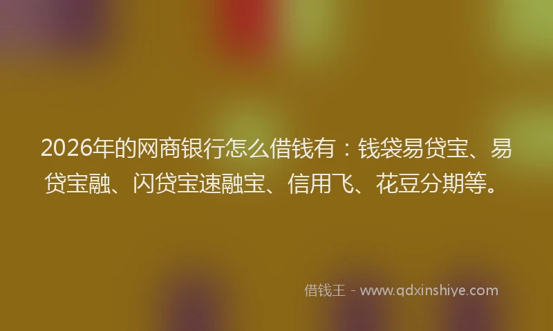 2026年的网商银行怎么借钱有：钱袋易贷宝、易贷宝融、闪贷宝速融宝、信用飞、花豆分期等。
