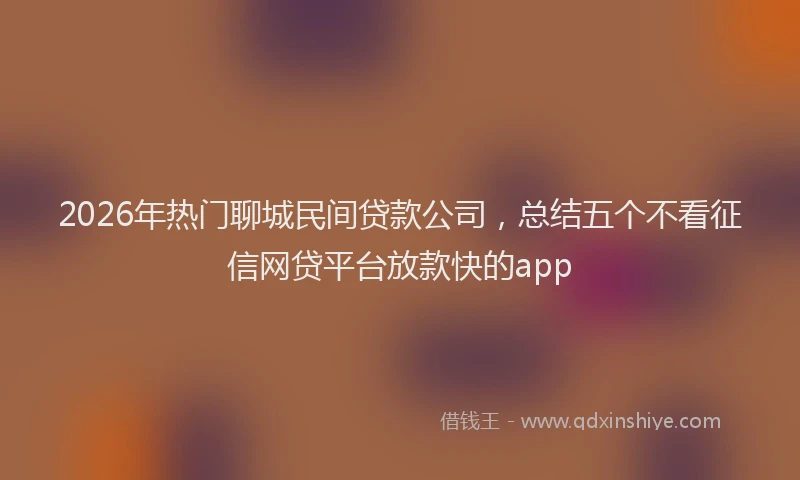 2026年热门聊城民间贷款公司，总结五个不看征信网贷平台放款快的app