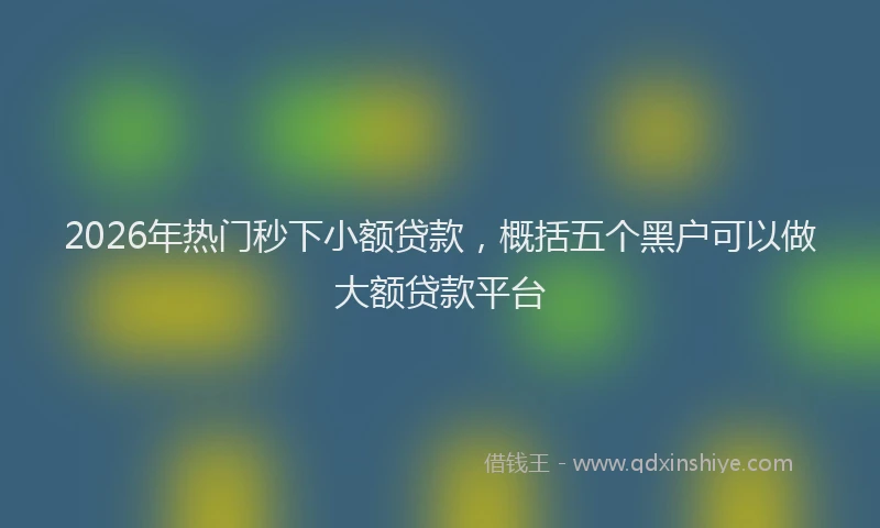 2026年热门秒下小额贷款，概括五个黑户可以做大额贷款平台
