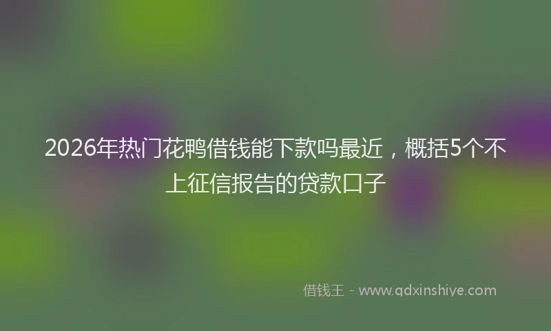 2026年热门花鸭借钱能下款吗最近，概括5个不上征信报告的贷款口子