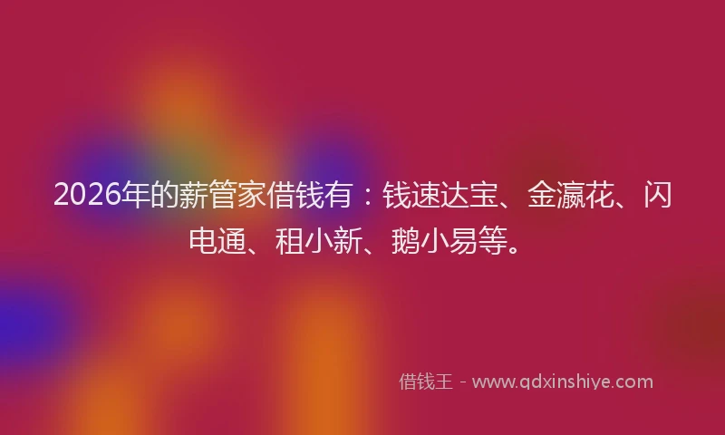 2026年的薪管家借钱有：钱速达宝、金瀛花、闪电通、租小新、鹅小易等。