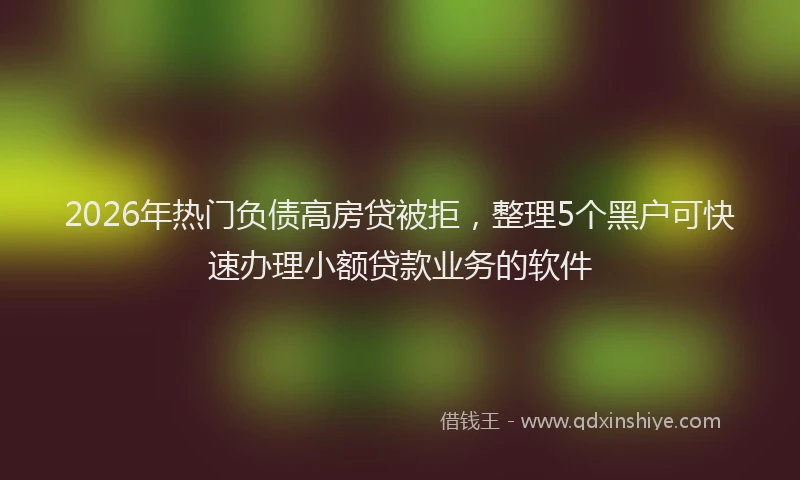2026年热门负债高房贷被拒，整理5个黑户可快速办理小额贷款业务的软件
