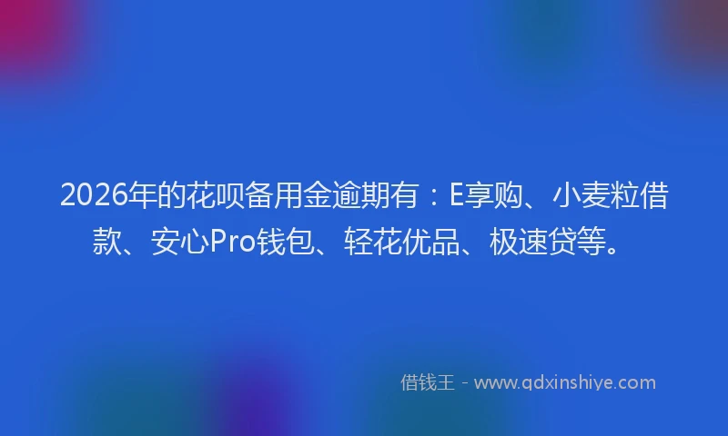 2026年的花呗备用金逾期有：E享购、小麦粒借款、安心Pro钱包、轻花优品、极速贷等。