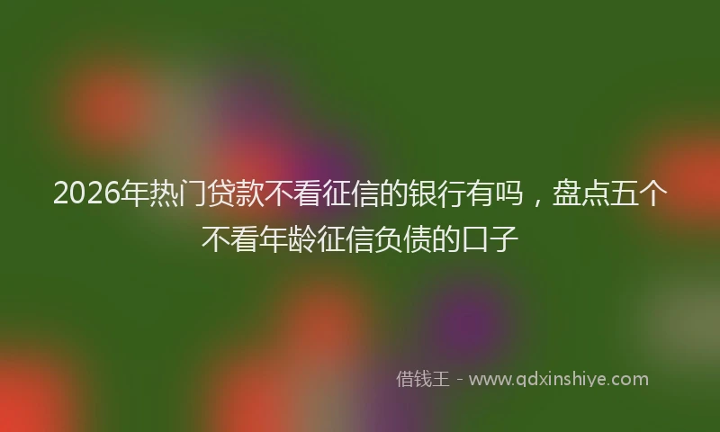 2026年热门贷款不看征信的银行有吗，盘点五个不看年龄征信负债的口子