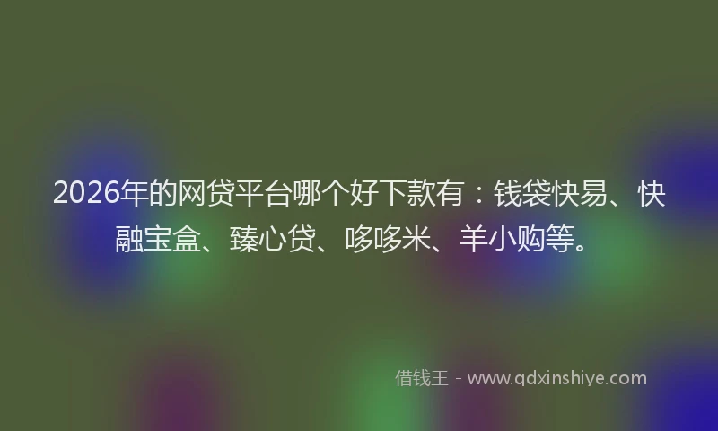 2026年的网贷平台哪个好下款有：钱袋快易、快融宝盒、臻心贷、哆哆米、羊小购等。