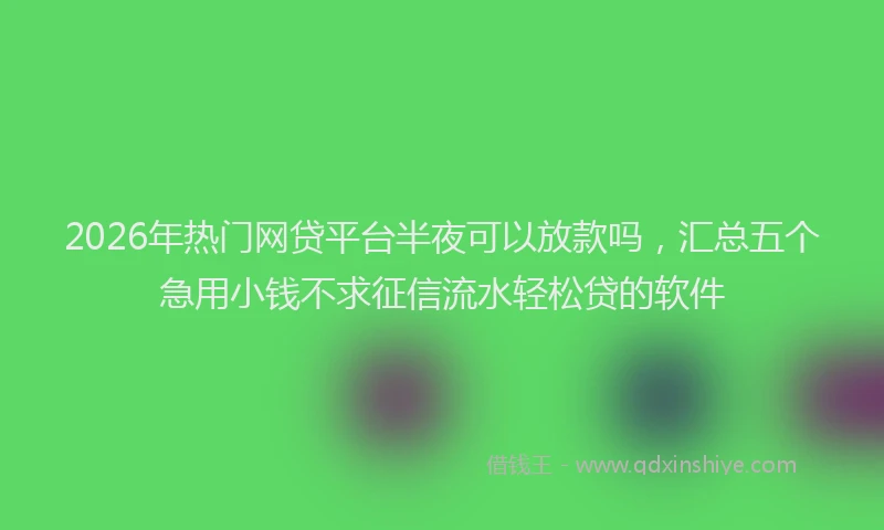 2026年热门网贷平台半夜可以放款吗,汇总五个急用小钱不求征信流水轻松贷的软件