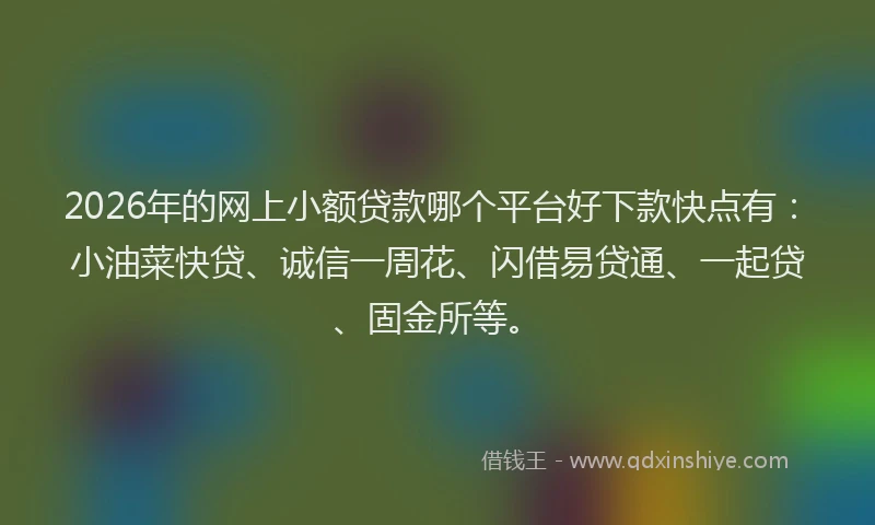 2026年的网上小额贷款哪个平台好下款快点有：小油菜快贷、诚信一周花、闪借易贷通、一起贷、固金所等。
