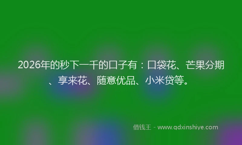 2026年的秒下一千的口子有：口袋花、芒果分期、享来花、随意优品、小米贷等。