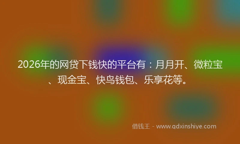 2026年的网贷下钱快的平台有：月月开、微粒宝、现金宝、快鸟钱包、乐享花等。