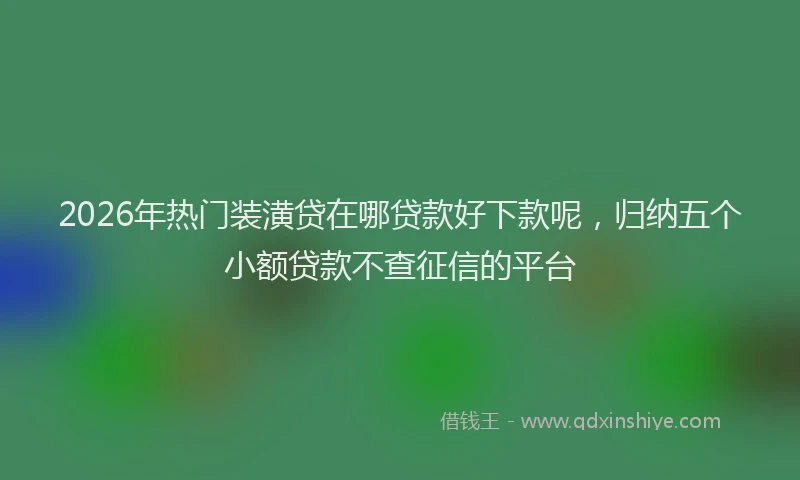 2026年热门装潢贷在哪贷款好下款呢，归纳五个小额贷款不查征信的平台