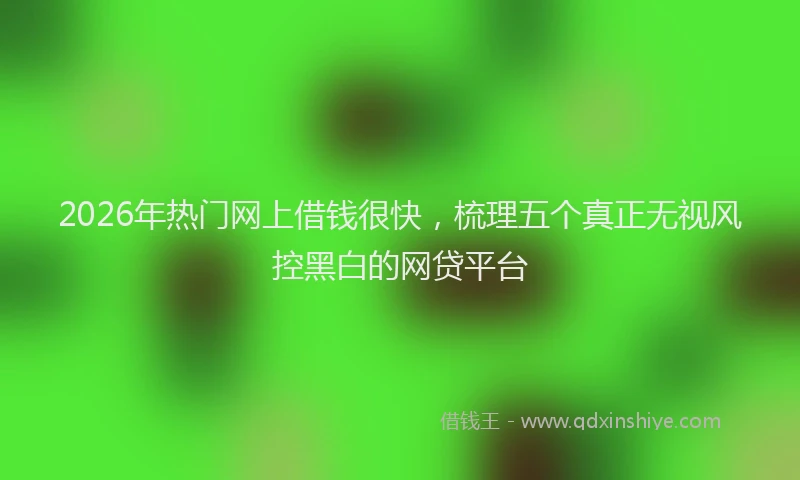 2026年热门网上借钱很快，梳理五个真正无视风控黑白的网贷平台