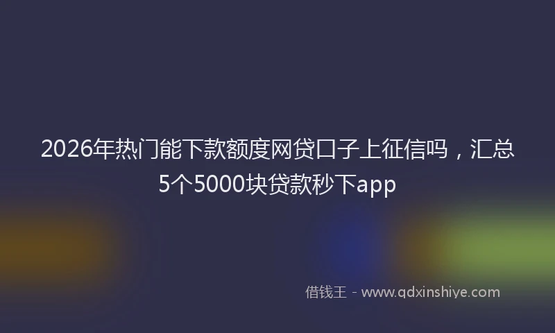 2026年热门能下款额度网贷口子上征信吗，汇总5个5000块贷款秒下app