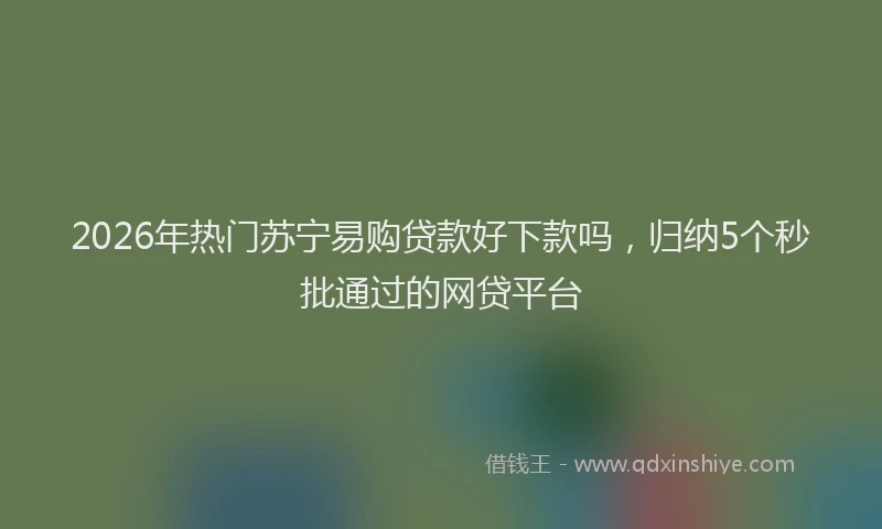 2026年热门苏宁易购贷款好下款吗，归纳5个秒批通过的网贷平台