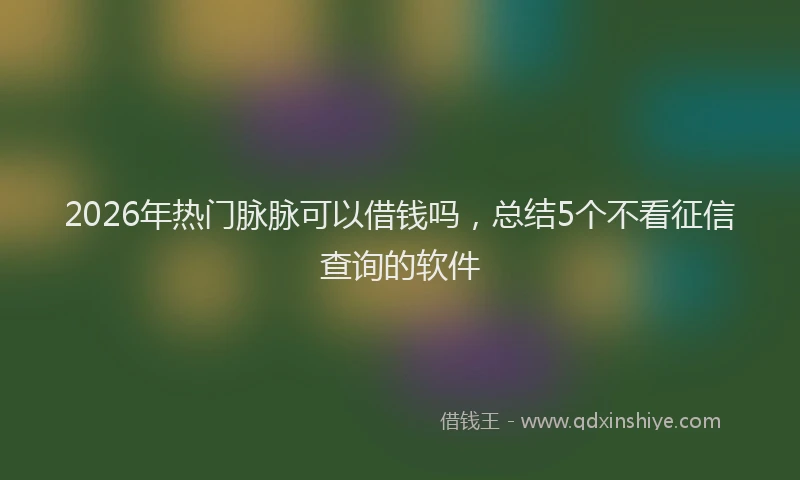 2026年热门脉脉可以借钱吗，总结5个不看征信查询的软件