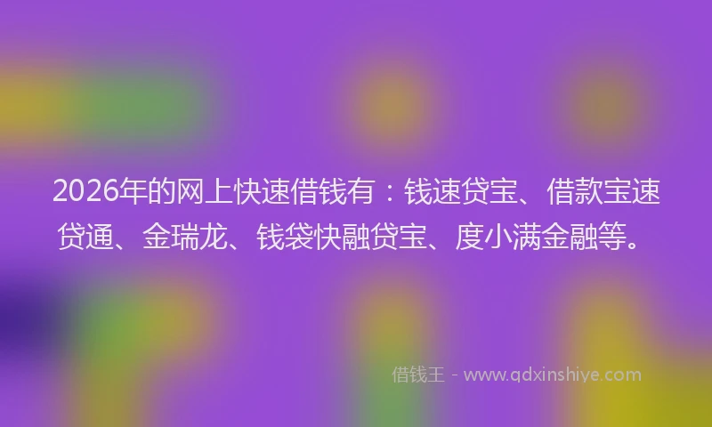 2026年的网上快速借钱有：钱速贷宝、借款宝速贷通、金瑞龙、钱袋快融贷宝、度小满金融等。