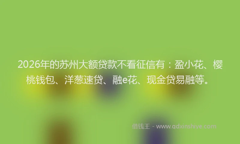 2026年的苏州大额贷款不看征信有：盈小花、樱桃钱包、洋葱速贷、融e花、现金贷易融等。