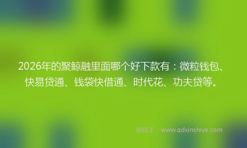 2026年的聚鲸融里面哪个好下款有：微粒钱包、快易贷通、钱袋快借通、时代花、功夫贷等。
