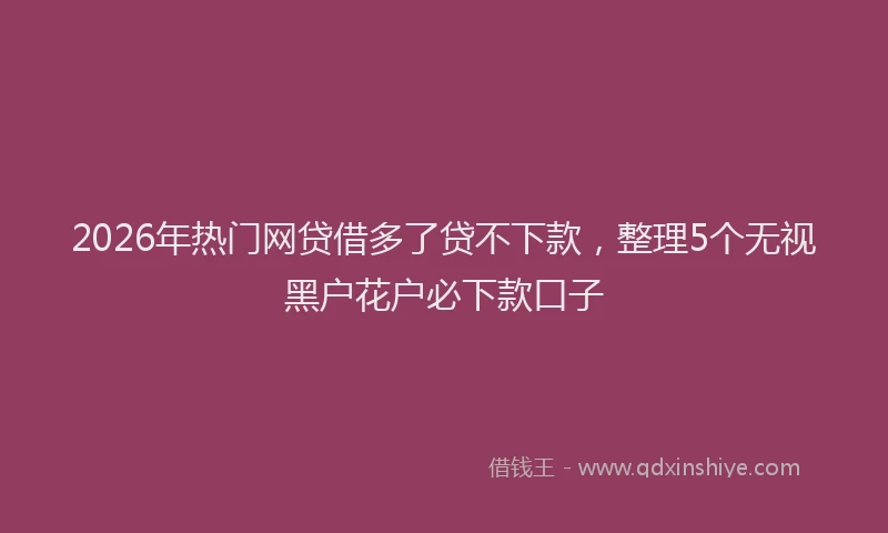 2026年热门网贷借多了贷不下款，整理5个无视黑户花户必下款口子