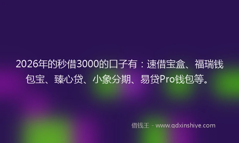 2026年的秒借3000的口子有：速借宝盒、福瑞钱包宝、臻心贷、小象分期、易贷Pro钱包等。