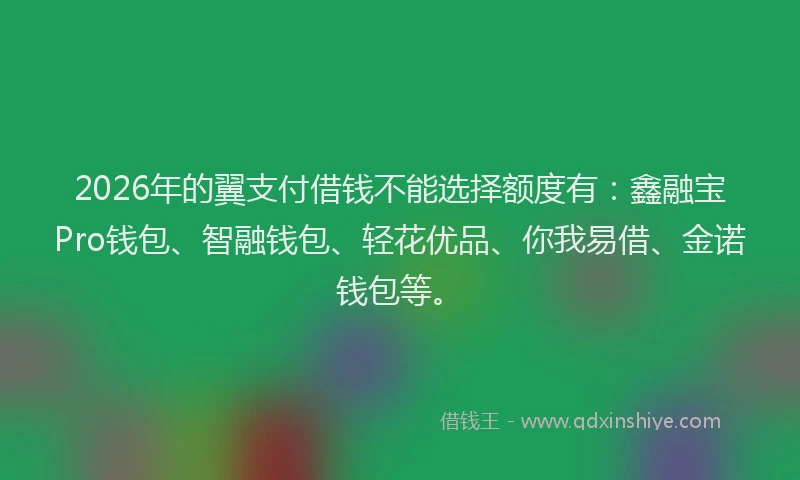 2026年的翼支付借钱不能选择额度有：鑫融宝Pro钱包、智融钱包、轻花优品、你我易借、金诺钱包等。