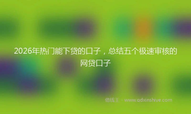 2026年热门能下贷的口子，总结五个极速审核的网贷口子