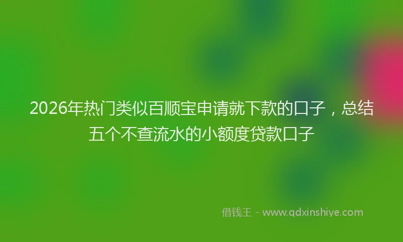 2026年热门类似百顺宝申请就下款的口子，总结五个不查流水的小额度贷款口子