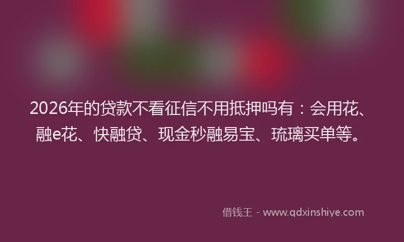 2026年的贷款不看征信不用抵押吗有:会用花、融e花、快融贷、现金秒融易宝、琉璃买单等。
