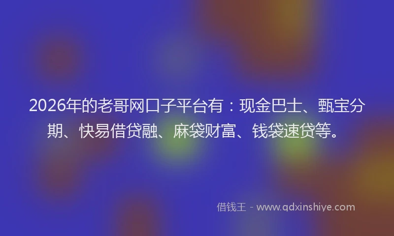 2026年的老哥网口子平台有：现金巴士、甄宝分期、快易借贷融、麻袋财富、钱袋速贷等。