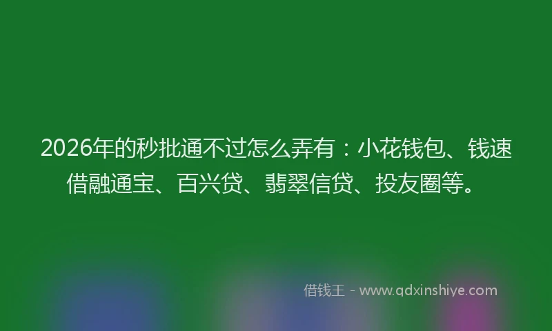 2026年的秒批通不过怎么弄有：小花钱包、钱速借融通宝、百兴贷、翡翠信贷、投友圈等。