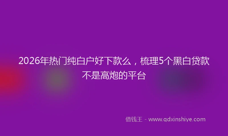 2026年热门纯白户好下款么，梳理5个黑白贷款不是高炮的平台