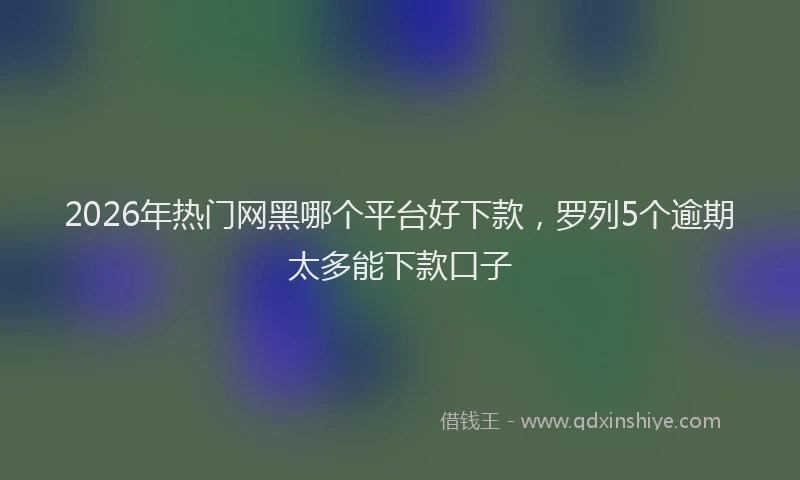 2026年热门网黑哪个平台好下款，罗列5个逾期太多能下款口子