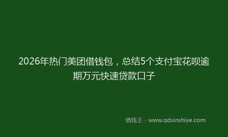 2026年热门美团借钱包,总结5个支付宝花呗逾期万元快速贷款口子