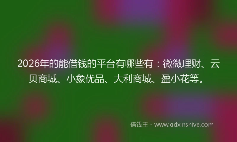 2026年的能借钱的平台有哪些有:微微理财、云贝商城、小象优品、大利商城、盈小花等。