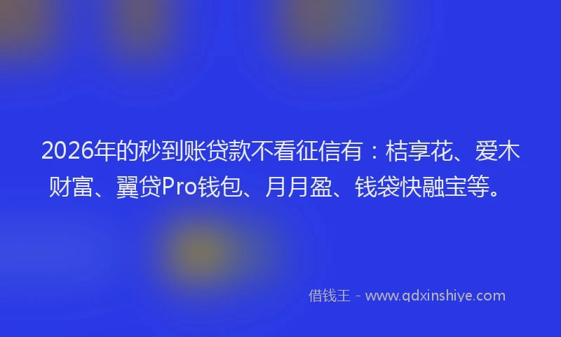 2026年的秒到账贷款不看征信有：桔享花、爱木财富、翼贷Pro钱包、月月盈、钱袋快融宝等。