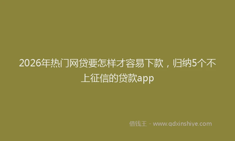2026年热门网贷要怎样才容易下款，归纳5个不上征信的贷款app