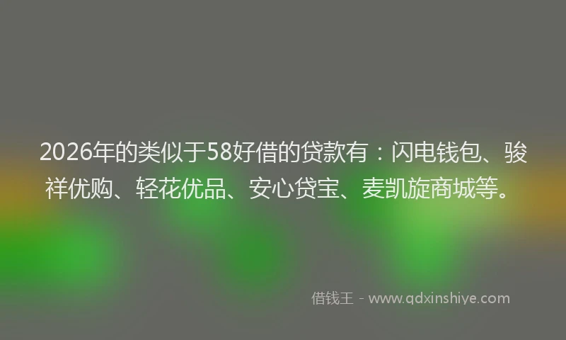 2026年的类似于58好借的贷款有：闪电钱包、骏祥优购、轻花优品、安心贷宝、麦凯旋商城等。