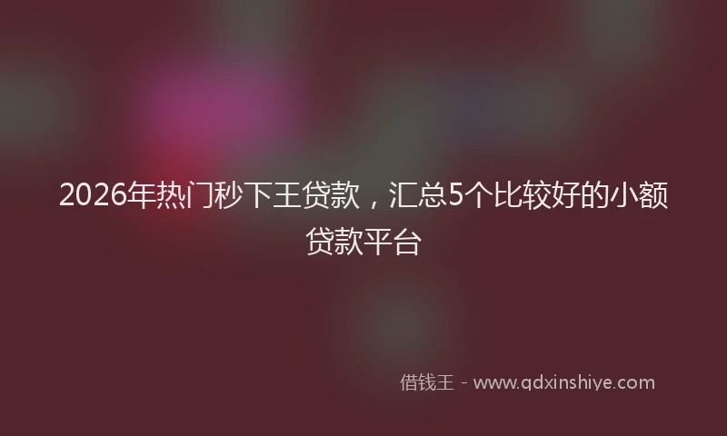 2026年热门秒下王贷款，汇总5个比较好的小额贷款平台