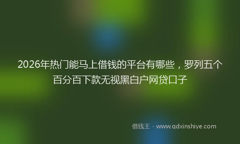 2026年热门能马上借钱的平台有哪些，罗列五个百分百下款无视黑白户网贷口子