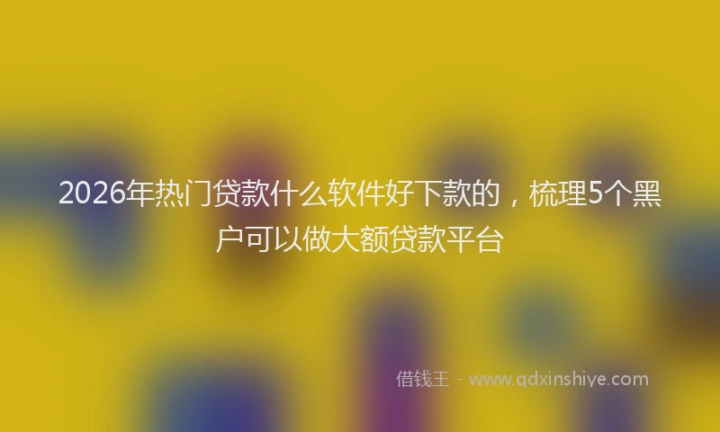 2026年热门贷款什么软件好下款的，梳理5个黑户可以做大额贷款平台